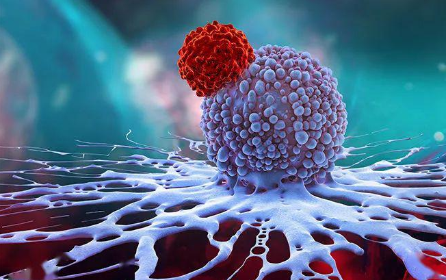 文献解读|Cell Death Dis（9.0）：人类多原发性肺癌细胞组成和空间