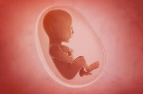 文献解读|eLife（7.7）：本地的高地人胎盘中性别偏向的调节变化促进胎儿的适