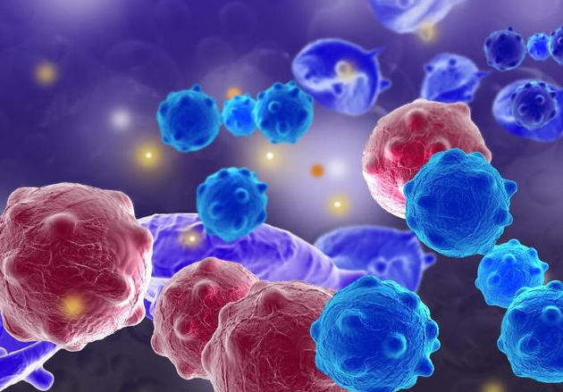 文献解读|Cell Metab（29.0）：使用同基因人胚胎干细胞衍生的 β 样