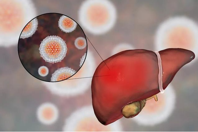 文献解读|Cell Metab（29.0）：抗性淀粉通过改变肠道微生物组降低 N