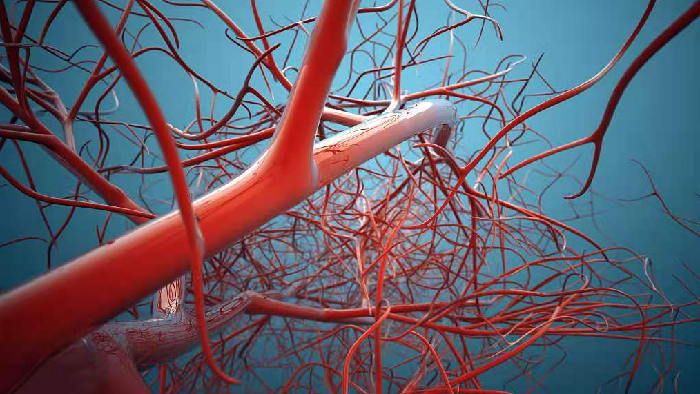 文献解读|Sci Transl Med（17.1）：血管周围三级淋巴结构中的干细