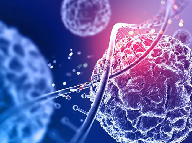 文献解读|Science Advances（13.6）：幼稚人类多能干细胞获能过