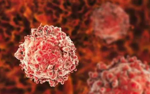 文献解读|Blood Cancer J（12.8）：靶向表观遗传共依赖性可增强 