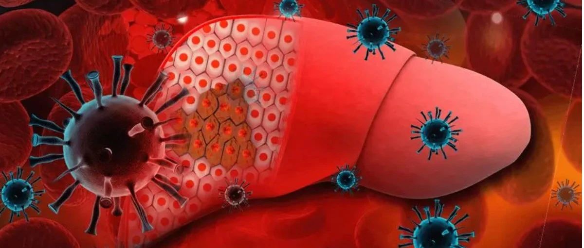 文献解读|Nat Commun(17.694): 病毒相关肝癌的蛋白质基因组特征