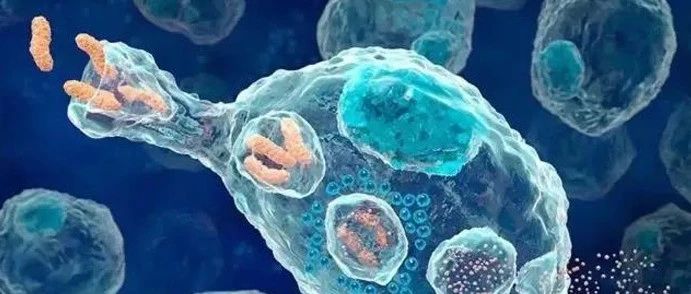 文献解读|Front Immunol（8.786）：NK细胞治疗研究热点：脐带血