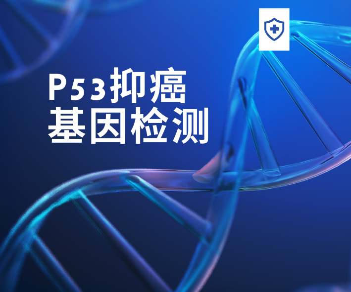 P53抑癌基因检测 