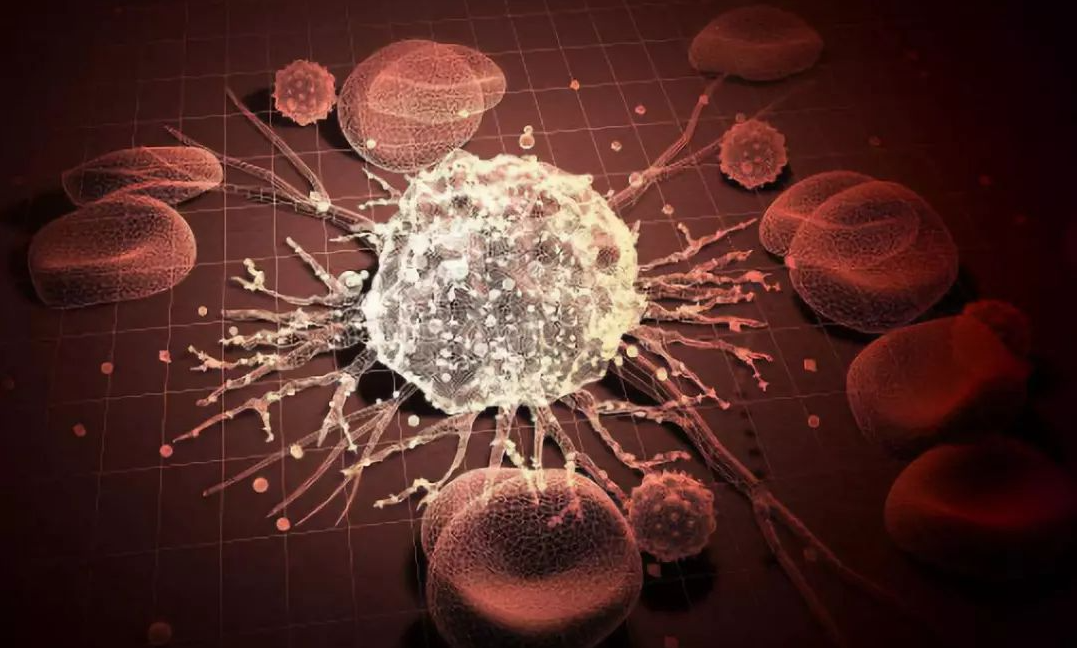 文献解读|Cancer Cell（50.3）：基因组改变导致食管癌发展中癌前病变