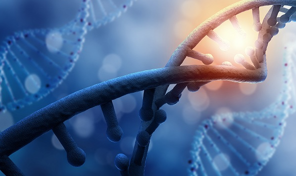 文献解读|Nat Cell Biol（21.3）：联合表观基因组分析揭示了人类皮