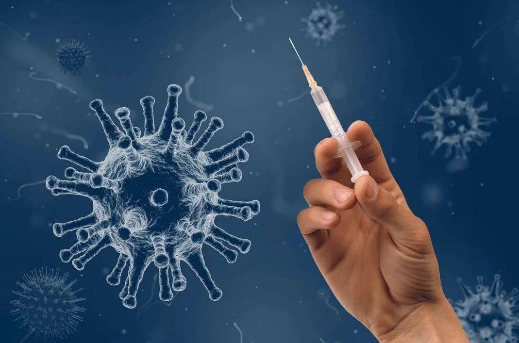 文献解读|Immunity（32.4）：对 BCG 疫苗接种的先天和适应性反应的
