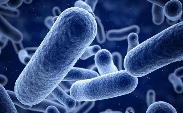 文献解读|Cell Host Microbe（30.3）：控制肠道微生物组中阿拉