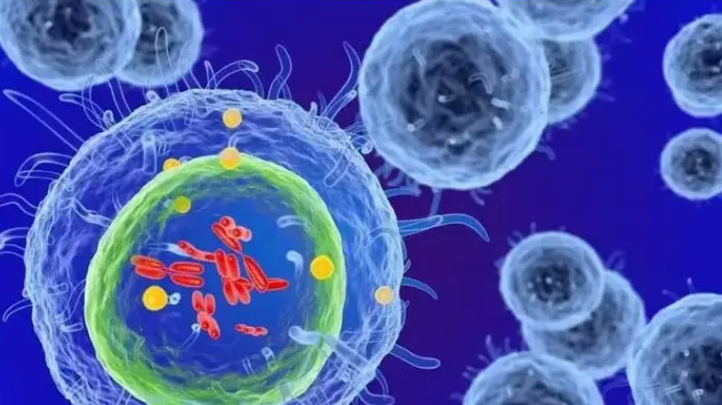 文献解读|Cell（64.5）：微生物代谢物通过调节泛癌中的 T 细胞干性来增强