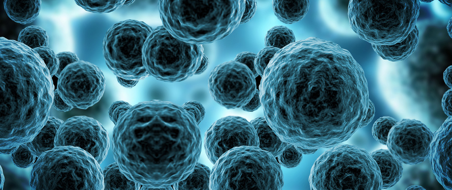 文献解读|Nat Cell Biol（21.3）：前列腺谱系特异性代谢控制管腔分