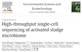 微生物单细胞项目案例|香港大学张彤教授团队首次绘制活性污泥微生物及耐药基因单细胞