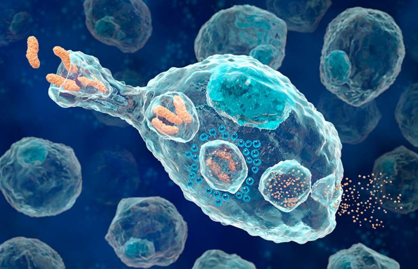 文献解读|Nat Cancer（23.5）：空间单细胞蛋白质景观揭示viment