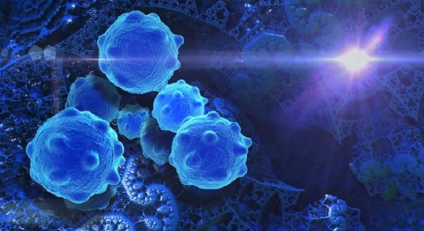 文献解读|Cell Discov（13.0）：针对 SNRNP200 诱导的剪接