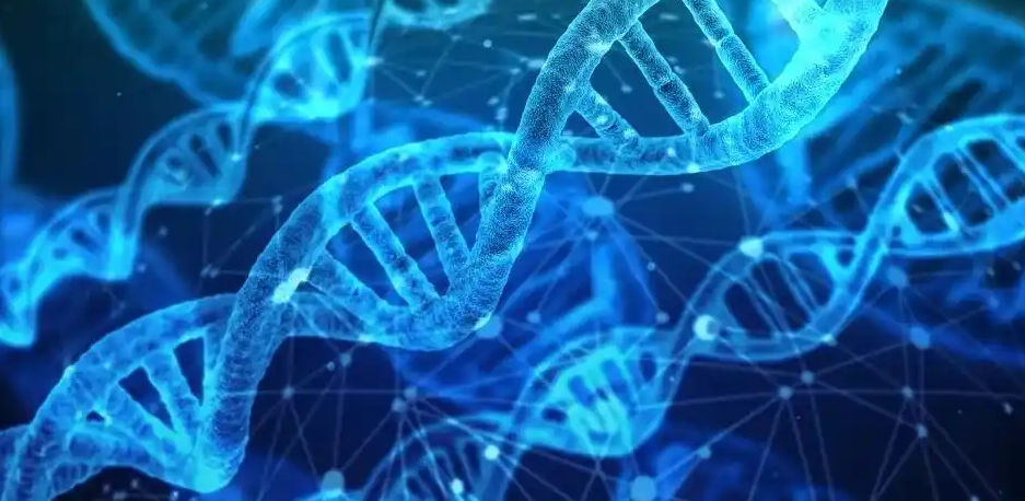 文献解读|Cell Metab（27.7）：运动相对能量缺乏小鼠模型的多器官转录