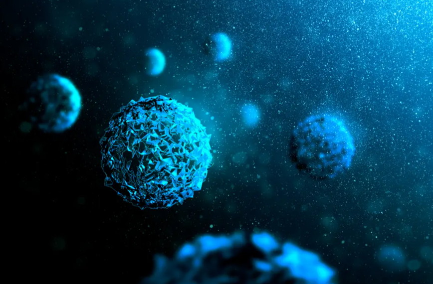 文献解读|Nat Commun（14.7）：炎症期间 NK 细胞介导的免疫反应中