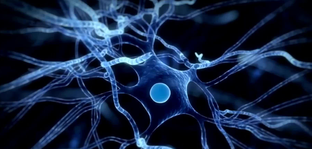 文献解读|Nat Genet（31.7）：阿尔茨海默病的遗传性和散发性形式的空间