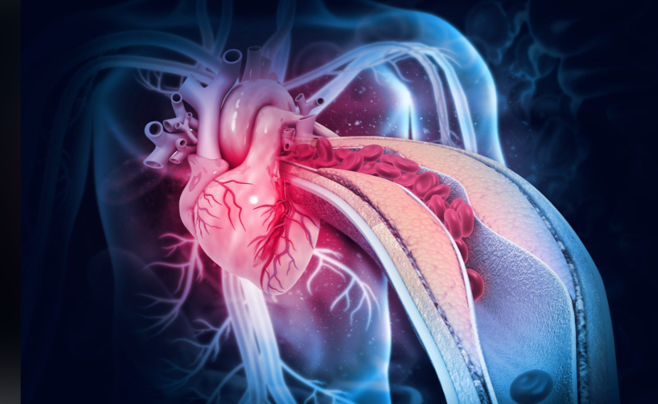 文献解读|Cell（45.5）：健康和动脉粥样硬化条件下跨器官代谢物的产生和消耗