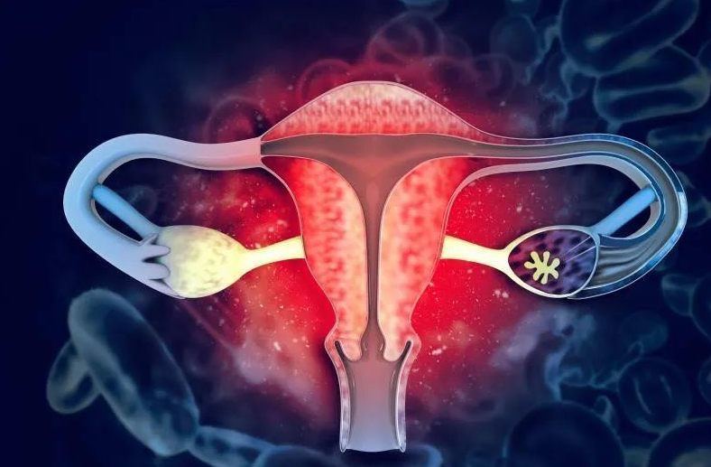 文献解读|Cancer Cell（44.5）：空间蛋白质转录组分析揭示了边缘性卵