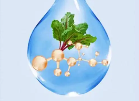 文献解读|Cell（42.5）：系统分析显示甜菜碱可作为老年保护的运动模拟物