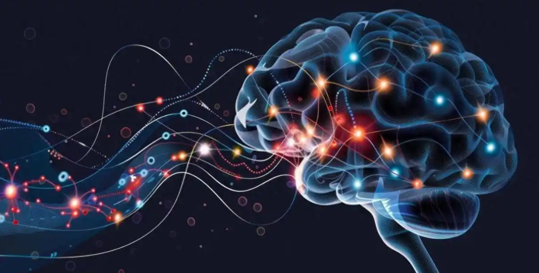 文献解读|Nat Med（50.0）：认知障碍和衰老导致脑脊液-血浆蛋白平衡紊乱