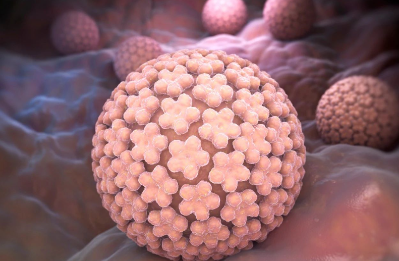 文献解读|Signal Transduct Target Ther（52.7）：