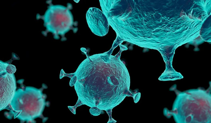 文献解读|Nat Commun（15.7）：肾母细胞瘤的综合蛋白质组学表征