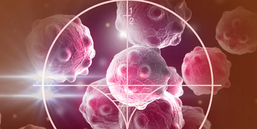 文献解读|Sci Adv（12.5）：多组学整合揭示乳腺癌新辅助治疗反应的亚型特