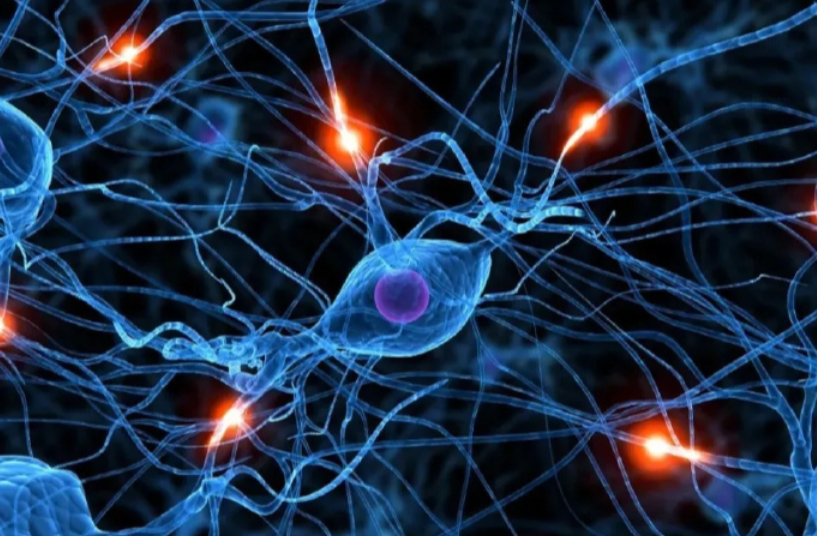 文献解读|Cell（42.5）：阿尔茨海默症病程进展及认知代偿机制中的单细胞多脑