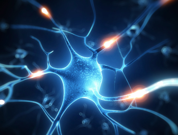 文献解读|Cancer Cell（44.5）：整合单细胞和空间转录组学揭示与胰腺