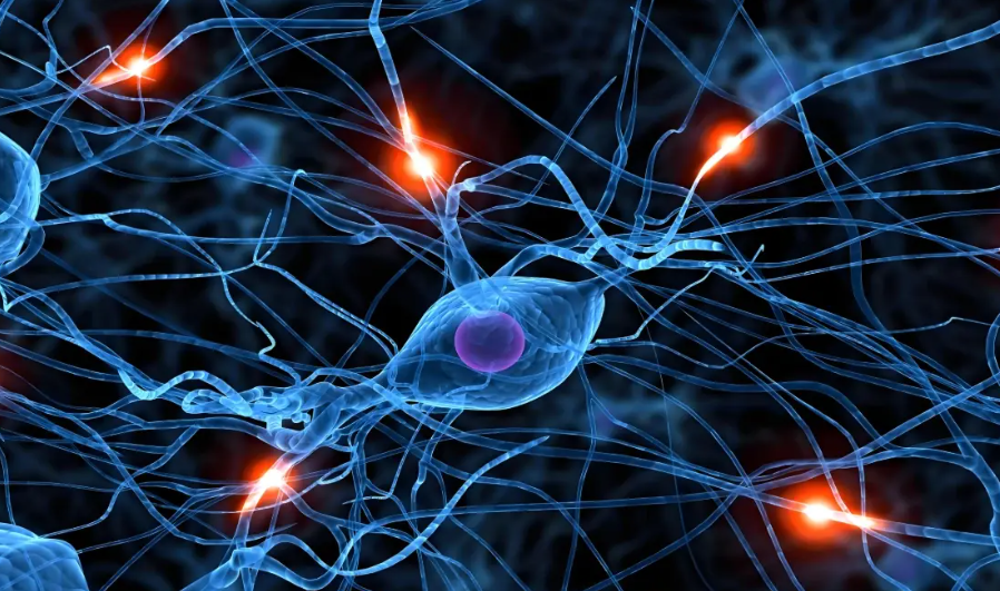 文献解读|Cell（42.5）：泛神经退行性疾病蛋白质组学揭示疾病亚型和分子特征