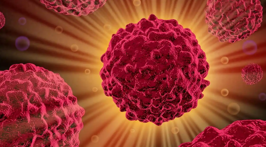 文献解读|Cell Rep Med（10.6）：空间多组学揭示混合型小细胞肺癌的