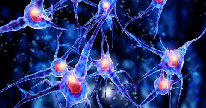 文献解读|Nat Cancer（28.5）：IDH突变型星形细胞瘤的进化轨迹揭示