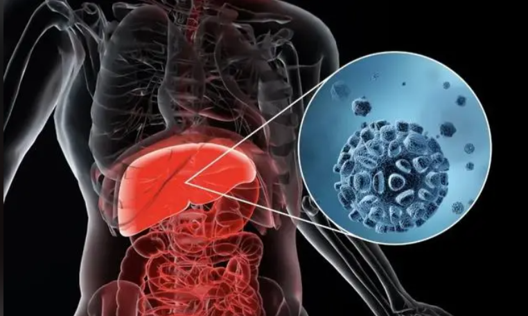 文献解读|Signal Transduct Target Ther（52.7）：