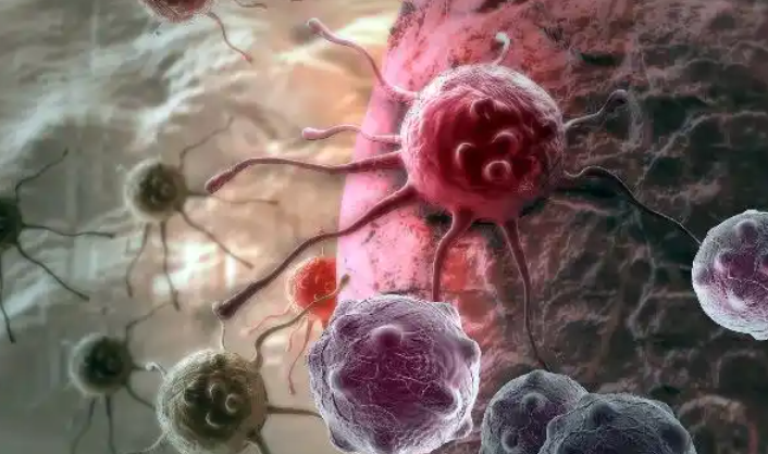 文献解读|Nat Med（52.5）：通过血浆分析确定癌症免疫疗法疗效的代谢决定