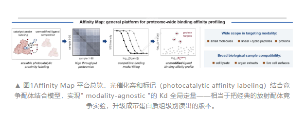 Affinity Map：光催化化学蛋白质组学，一次给全蛋白质组测出 Kd